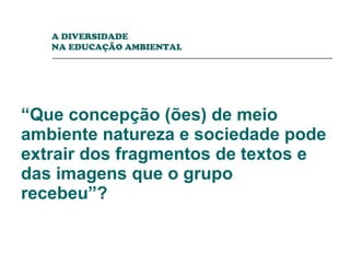 “ Que concepção (ões) de meio ambiente natureza e sociedade pode extrair dos fragmentos de textos e das imagens que o grupo recebeu”?  A DIVERSIDADE  NA EDUCAÇÃO AMBIENTAL 