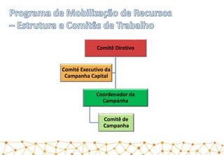 Comitê Diretivo
Coordenador da
Campanha
Comitê de
Campanha
Comité Executivo da
Campanha Capital
 