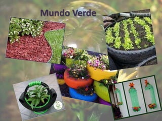 Mundo Verde
 