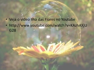 • Veja o vídeo Ilha das Flores no Youtube
• http://www.youtube.com/watch?v=KAzhAXjU
  G28
 