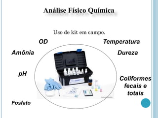 Análise Físico Química
Uso de kit em campo.
Coliformes
fecais e
totais
Dureza
Temperatura
Amônia
pH
Fosfato
OD
 