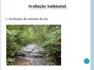 Avaliação Ambiental
. Avaliação do entorno do rio
 