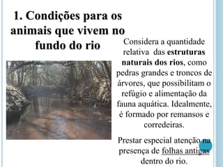 Considera a quantidade
relativa das estruturas
naturais dos rios, como
pedras grandes e troncos de
árvores, que possibilitam o
refúgio e alimentação da
fauna aquática. Idealmente,
é formado por remansos e
corredeiras.
Prestar especial atenção na
presença de folhas antigas
dentro do rio.
1. Condições para os
animais que vivem no
fundo do rio
 