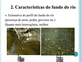 2. Características do fundo do rio
 Estimativa do perfil do fundo do rio
(presença de areia, pedra, gravetos etc.)
Quanto mais heterogêneo, melhor.
 
