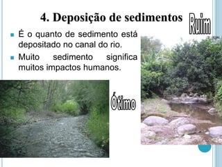 4. Deposição de sedimentos
 É o quanto de sedimento está
depositado no canal do rio.
 Muito sedimento significa
muitos impactos humanos.
 