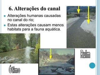 6. Alterações do canal
 Alterações humanas causadas
no canal do rio;
 Estas alterações causam menos
habitats para a fauna aquática.
 