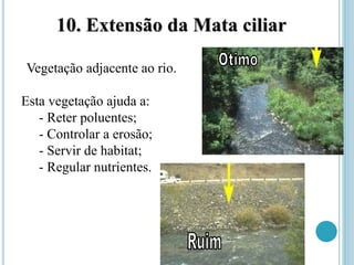10. Extensão da Mata ciliar
Vegetação adjacente ao rio.
Esta vegetação ajuda a:
- Reter poluentes;
- Controlar a erosão;
- Servir de habitat;
- Regular nutrientes.
 