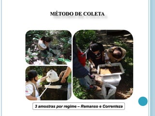 MÉTODO DE COLETA
3 amostras por regime – Remanso e Correnteza
 