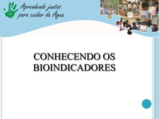 CONHECENDO OS
BIOINDICADORES
 