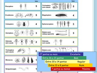 Hemiptera
Diptera sem
cabeça aparente
Odonata
sem cauda
Odonata
com cauda
Trichoptera
sem casulo
Diptera com
cabeça aparente
Coleoptera Ephemeroptera
Crustáceos Megaloptera
Plecoptera
Trichoptera
com casulo
Valor Valor
55
4
Moluscos Minhocas
Sanguessugas Planárias
5
4
3
3
3
22
2 1
11
1 1
Odonata
sem cauda
Odonata
com cauda
Trichoptera
sem casulo
Diptera com
cabeça aparente
Use a soma dos valores para determinar a classe de qualidade do rio segundo o índice
Moluscos Minhocas
Sanguessugas Planárias
7 pontos ou menos Péssimo
27 pontos ou mais Excelente
Entre 26 e 21 pontos Bom
Entre 20 e 14 pontos Regular
2
2
1
1
Entre 13 e 8 pontos Ruim
 