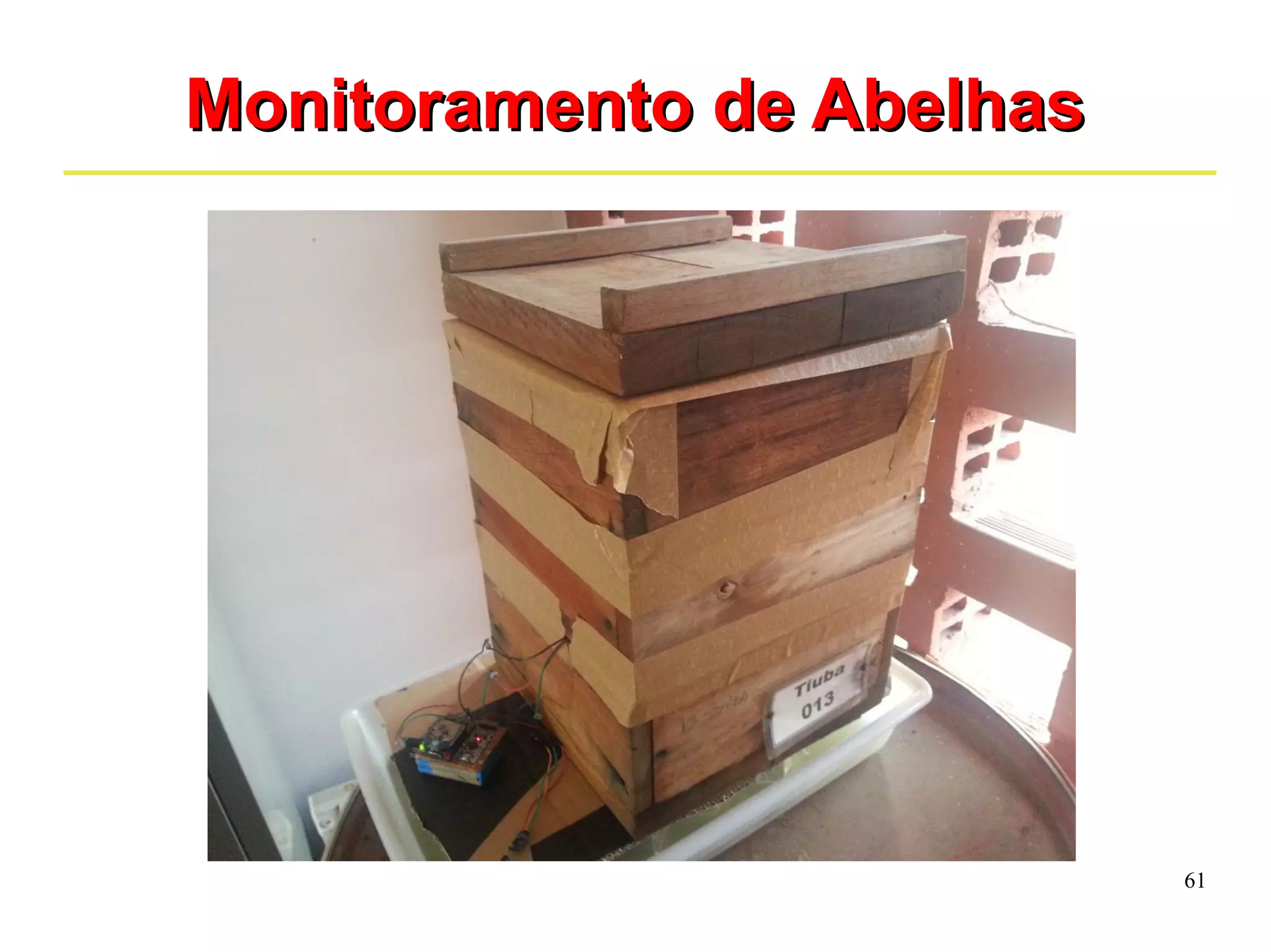 61 
MMoonniittoorraammeennttoo ddee AAbbeellhhaass 
 