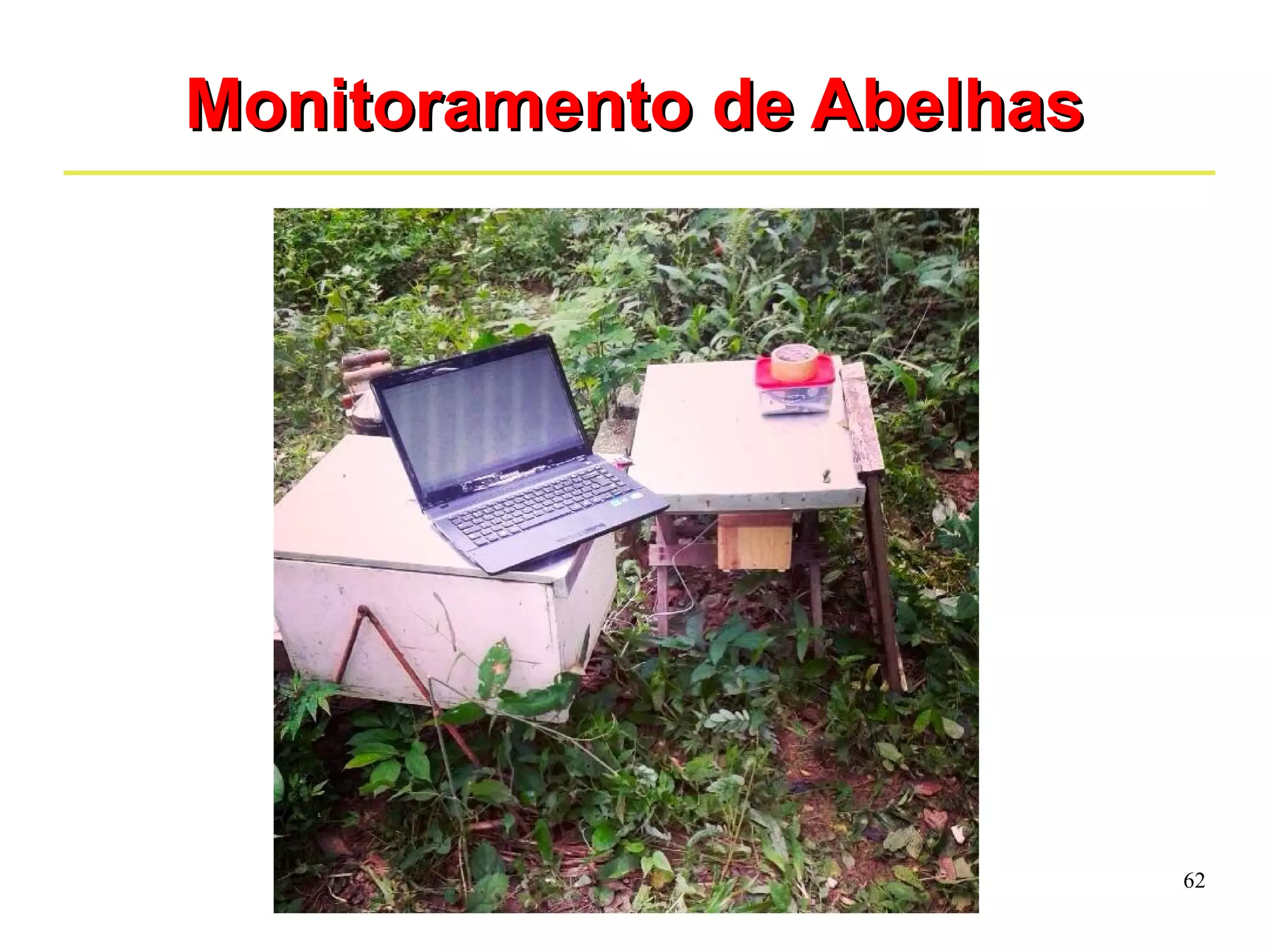 62 
MMoonniittoorraammeennttoo ddee AAbbeellhhaass 
 