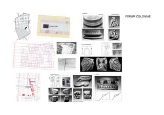 FORUM COLONIAE
 