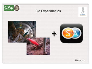 Bio Experimentos




         +

                   Hands on ...
 