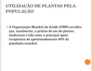 UTILIZAÇÃO DE PLANTAS PELA POPULAÇÃO  A Organização Mundial da Saúde (OMS) acredita que, atualmente, a prática do uso de plantas medicinais é tida como a principal opção terapêutica de aproximadamente 80% da população mundial. 