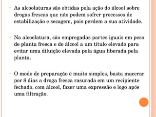 As alcoolaturas são obtidas pela ação do álcool sobre drogas frescas que não podem sofrer processos de estabilização e secagem, pois perdem a sua atividade. Na alcoolatura, são empregadas partes iguais em peso de planta fresca e de álcool a um título elevado para evitar uma diluição elevada pela água liberada pela planta. O modo de preparação é muito simples, basta macerar por 8 dias a droga fresca rasurada em um recipiente fechado, com álcool, fazer uma expressão e logo após uma filtração.  