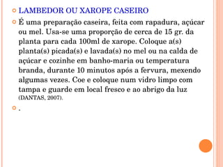 LAMBEDOR OU XAROPE CASEIRO   É uma preparação caseira, feita com rapadura, açúcar ou mel. Usa-se uma proporção de cerca de 15 gr. da planta para cada 100ml de xarope. Coloque a(s) planta(s) picada(s) e lavada(s) no mel ou na calda de açúcar e cozinhe em banho-maria ou temperatura branda, durante 10 minutos após a fervura, mexendo algumas vezes. Coe e coloque num vidro limpo com tampa e guarde em local fresco e ao abrigo da luz  (DANTAS, 2007).  .  