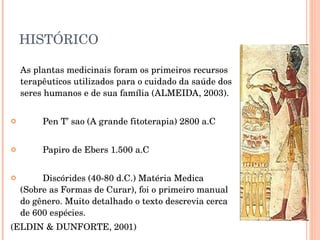 HISTÓRICO As plantas medicinais foram os primeiros recursos terapêuticos utilizados para o cuidado da saúde dos seres humanos e de sua família (ALMEIDA, 2003). Pen T’ sao (A grande fitoterapia) 2800 a.C Papiro de Ebers 1.500 a.C Discórides (40-80 d.C.) Matéria Medica (Sobre as Formas de Curar), foi o primeiro manual do gênero. Muito detalhado o texto descrevia cerca de 600 espécies. (ELDIN & DUNFORTE, 2001) 