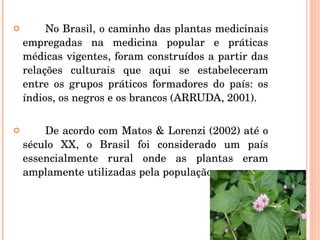 No Brasil, o caminho das plantas medicinais empregadas na medicina popular e práticas médicas vigentes, foram construídos a partir das relações culturais que aqui se estabeleceram entre os grupos práticos formadores do país: os índios, os negros e os brancos (ARRUDA, 2001). De acordo com Matos & Lorenzi (2002) até o século XX, o Brasil foi considerado um país essencialmente rural onde as plantas eram amplamente utilizadas pela população. 