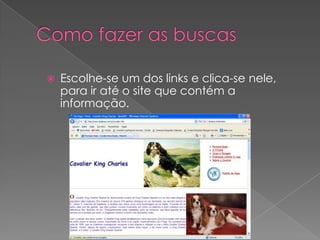    Escolhe-se um dos links e clica-se nele,
    para ir até o site que contém a
    informação.
 