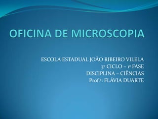 ESCOLA ESTADUAL JOÃO RIBEIRO VILELA
                      3º CICLO – 1ª FASE
              DISCIPLINA – CIÊNCIAS
                Prof.ª: FLÁVIA DUARTE
 