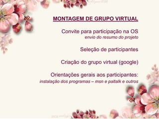 MONTAGEM DE GRUPO VIRTUAL
Convite para participação na OS
envio do resumo do projeto
Seleção de participantes
Criação do grupo virtual (google)
Orientações gerais aos participantes:
instalação dos programas – msn e paltalk e outros
 