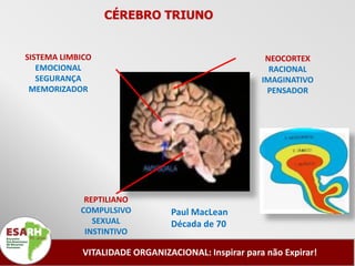 CÉREBRO TRIUNO


SISTEMA LIMBICO                                       NEOCORTEX
   EMOCIONAL                                           RACIONAL
   SEGURANÇA                                         IMAGINATIVO
 MEMORIZADOR                                          PENSADOR




             REPTILIANO
            COMPULSIVO           Paul MacLean
               SEXUAL            Década de 70
             INSTINTIVO

             VITALIDADE ORGANIZACIONAL: Inspirar para não Expirar!
 