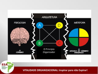 O Princípio
                Organizador




VITALIDADE ORGANIZACIONAL: Inspirar para não Expirar!
 