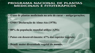 • O uso de plantas medicinais na arte de curar – antigo/gerações;
• OMS - Declaração de Alma-Ata (1978);
• 80% da população mundial utiliza (APS);
• Países em desenvolvimento: 67% das espécies vegetais;
• Brasil: maior diversidade vegetal do mundo.
 
