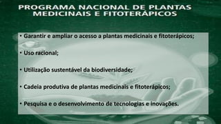• Garantir e ampliar o acesso a plantas medicinais e fitoterápicos;
• Uso racional;
• Utilização sustentável da biodiversidade;
• Cadeia produtiva de plantas medicinais e fitoterápicos;
• Pesquisa e o desenvolvimento de tecnologias e inovações.
 