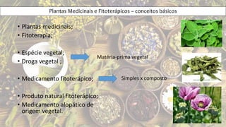 • Plantas medicinais;
• Fitoterapia;
• Espécie vegetal;
• Droga vegetal ;
• Medicamento fitoterápico;
• Produto natural fitoterápico;
• Medicamento alopático de
origem vegetal.
Matéria-prima vegetal
Simples x composto
Plantas Medicinais e Fitoterápicos – conceitos básicos
 