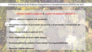 A Política Nacional de Práticas Integrativas e Complementares (PNPIC) no SUS
Sistemas médicos complexos & recursos terapêuticos alternativos
• Eficazes, eficientes, seguros e de qualidade;
• Mecanismos naturais de prevenção de agravos e da promoção e recuperação da
saúde;
• Integrada no cuidado à saúde no SUS;
• Visão ampliada do processo saúde-doença;
• Promoção global do cuidado (*autocuidado*corresponsabilidade);
• Dimensão Multiprofissional.
 