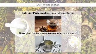 Chá – Infusão de Ervas
Infusão: Partes moles, como folhas e flores.
Decocção: Partes duras, como caule, casca e raíz.
 