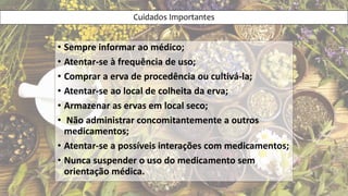 Cuidados Importantes
• Sempre informar ao médico;
• Atentar-se à frequência de uso;
• Comprar a erva de procedência ou cultivá-la;
• Atentar-se ao local de colheita da erva;
• Armazenar as ervas em local seco;
• Não administrar concomitantemente a outros
medicamentos;
• Atentar-se a possíveis interações com medicamentos;
• Nunca suspender o uso do medicamento sem
orientação médica.
 