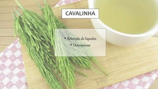 CAVALINHA
• Retenção de líquidos
• Osteoporose
 