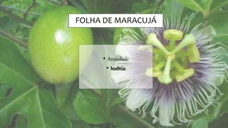 FOLHA DE MARACUJÁ
• Ansiedade
• Insônia
 