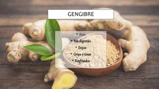 GENGIBRE
• Azia
• Má digestão
• Enjoo
• Gripe e tosse
• Resfriados
 