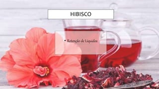 HIBISCO
• Retenção de Líquidos
 