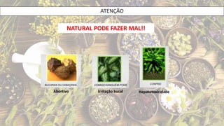 Abortivo
NATURAL PODE FAZER MAL!!
Irritação bucal Hepatotoxicidade
ATENÇÃO
 