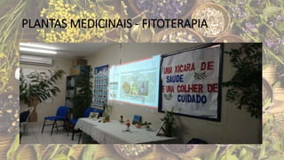 PLANTAS MEDICINAIS - FITOTERAPIA
 
