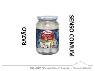 PUC MINAS / Curso de Ciências Biológicas / Oficina de Ciências I
RAZÃO
SENSOCOMUM
 