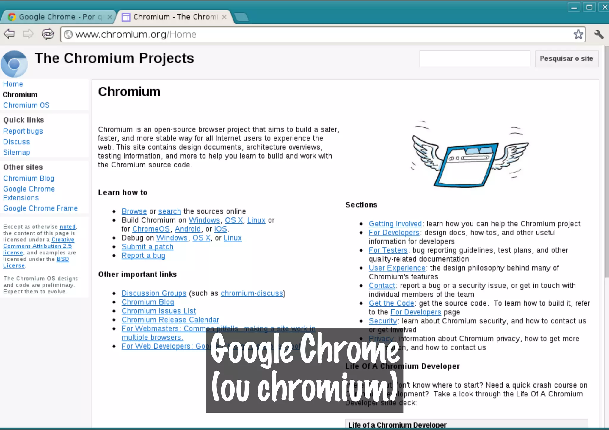 Google Chrome
(ou chromium)
 