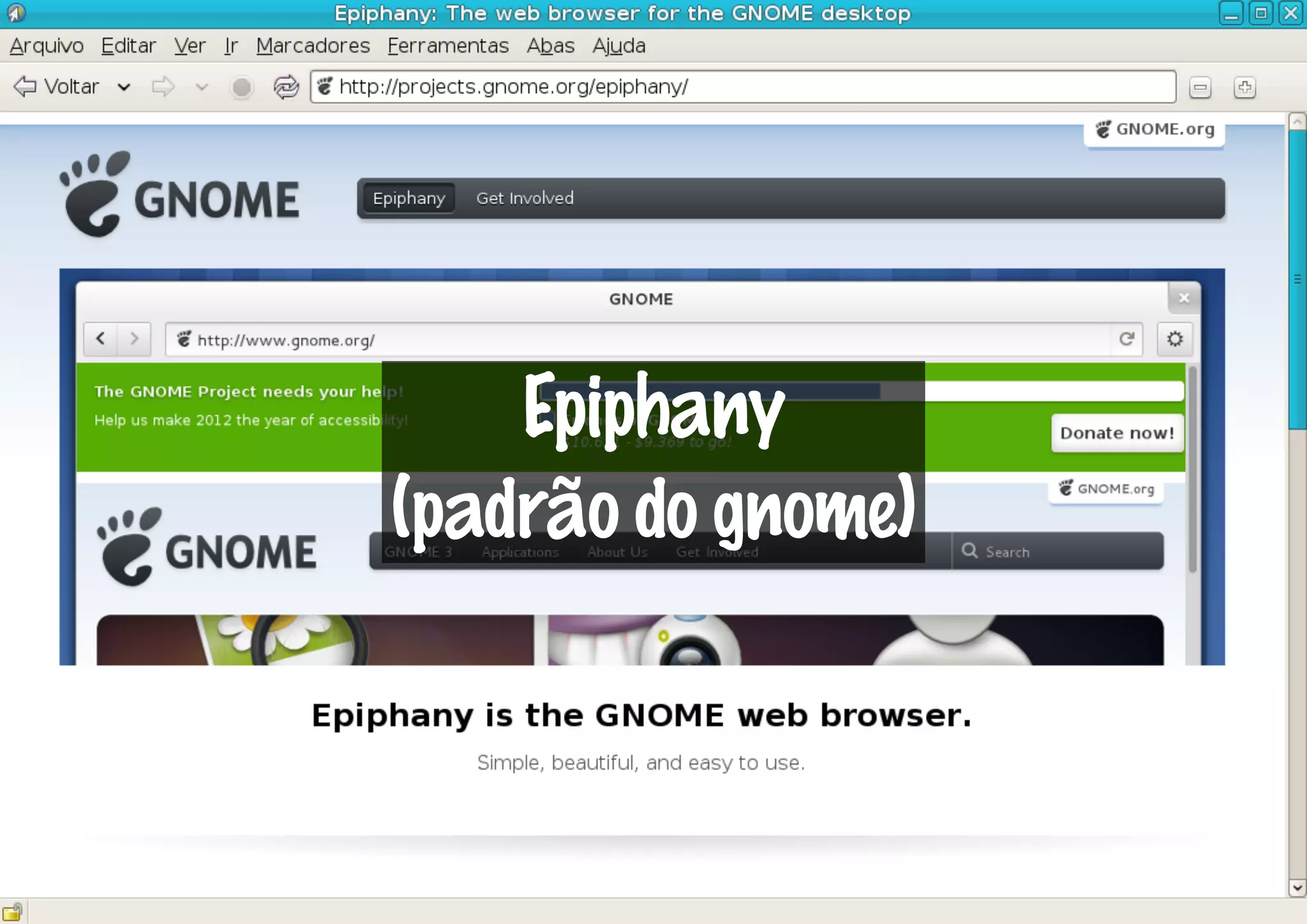 Epiphany
(padrão do gnome)
 