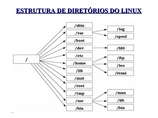 ESTRUTURA DE DIRETÓRIOS DO LINUX 