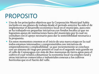 PROPOSITOUno de los principales objetivos que la Corporación Municipal había incluido en sus planes de trabajo desde el periodo anterior ha sido el de implementar el desarrollo económico local en el municipio, para esto se ha trabajado en pequeñas iniciativas con fondos locales ya que no logramos apoyo de instituciones fuera del municipio por lo cual no contaban con el apoyo necesario para dar la sostenibilidad necesaria a la propuesta.En estos momentos creemos es el inicio de una nueva etapa en la cual todos estamos interesados y comprometidos con iniciativas de emprendimiento y empleabilidad  ya que recientemente se concluyo con un sistema de riego por presión el cual es el segundo más grande en el valle de Comayagua con más de 800 manzanas de tierra aptas para el cultivo el cual vendrá a dinamizar la economía local vía empleo rural y otras iniciativas comerciales o industriales conexas a los cultivos hortícolas que es el fuerte del valle.