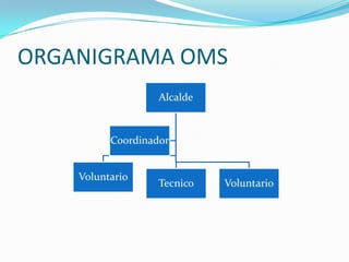 ORGANIGRAMA OMS 