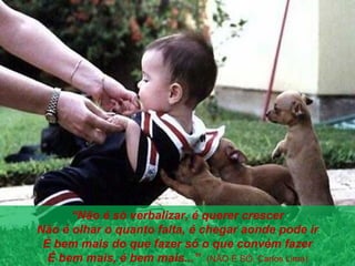 “Não é só verbalizar, é querer crescer
          Não é olhar o quanto falta, é chegar aonde pode ir
             É bem mais do que fazer só o que convém fazer
               É bem mais, é bem mais...” (NÃO É SÓ. Carlos Lima)
www.themegallery.com
 