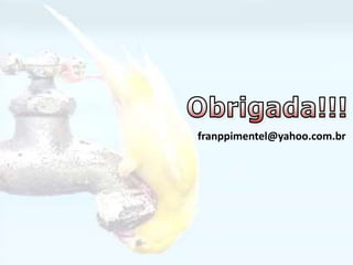 franppimentel@yahoo.com.br
 