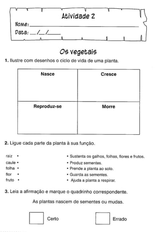 Oficina para casa 1º ano