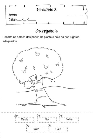 Oficina para casa 1º ano